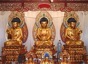 Buddhist Wisdom